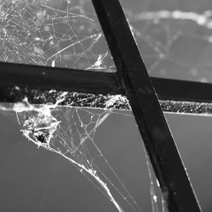 Spider Web 2