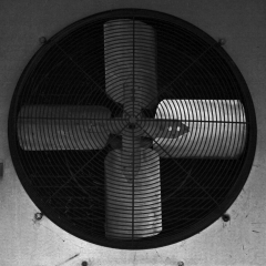 Fan