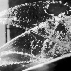 Fountain