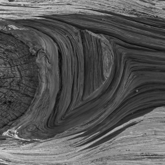 Wood