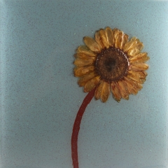 SKY-BLUE-8