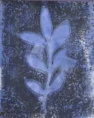 blue-plant