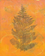 circling-fern