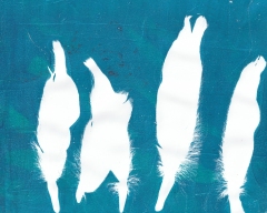 feather-ghosts