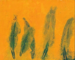 feathers