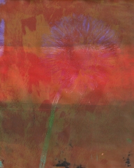 flower-dark