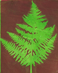 green-fern