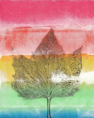 rainbow-leaf