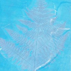 blue-fern