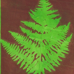 green-fern