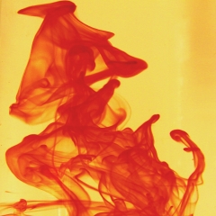 41