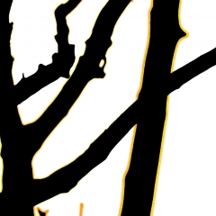 Branches 2