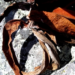 Brown Curls