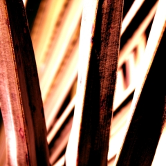 Brown Fan