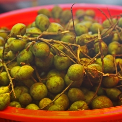 Tomatillo