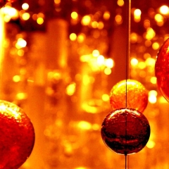 Amber Bulbs