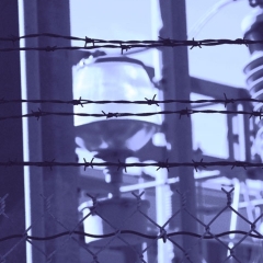 Barbed