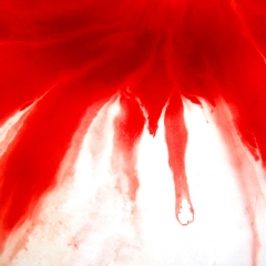 Blood