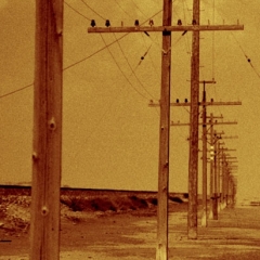 Poles