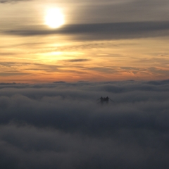 Bridge/Fog