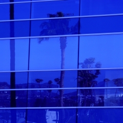 LA Blue