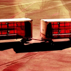Luggage Carts