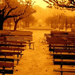 Park Benches