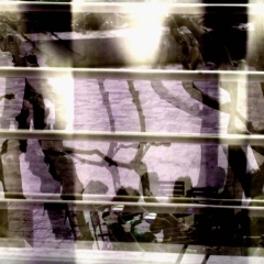 Reflected