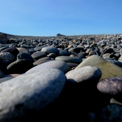 So Many Rocks