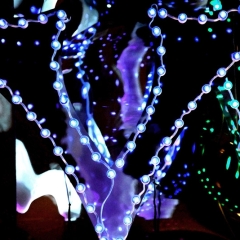 V Bulbs