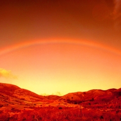 Rainbow