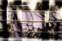 Reflected