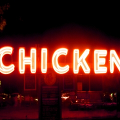 Chicken