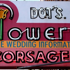 Dot's