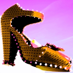 Shoe