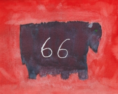 Buffalo-66