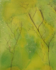 Lime-Trees