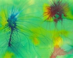 Spring-Stars