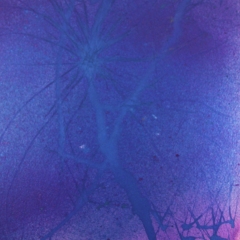 Gonzo-in-Blue (sold)