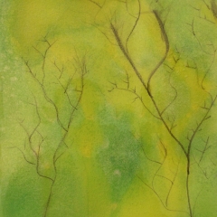 Lime-Trees